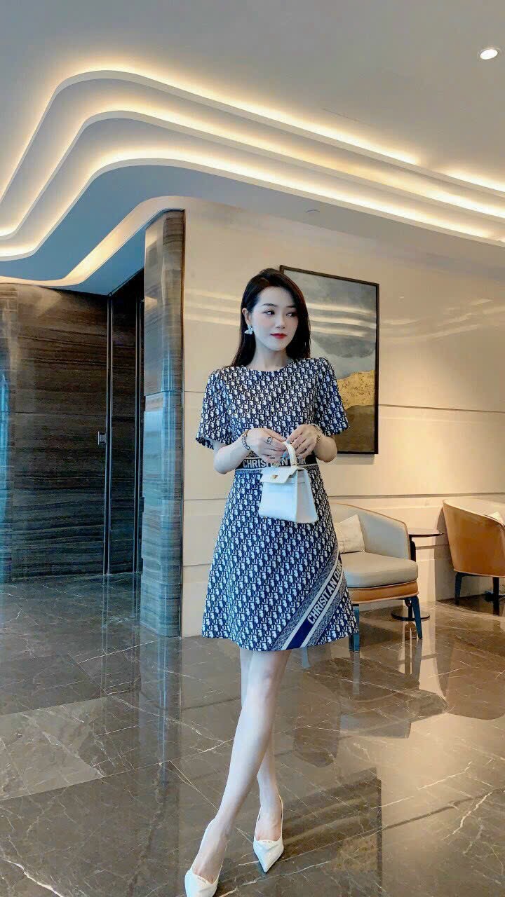 ĐẦM SUÔNG LỤA HỌA TIẾT DIOR CAO CẤP D42